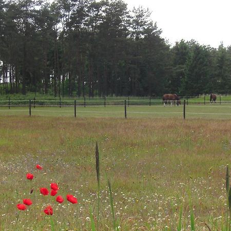 Aengshyddan B&B Yngsjö Zewnętrze zdjęcie