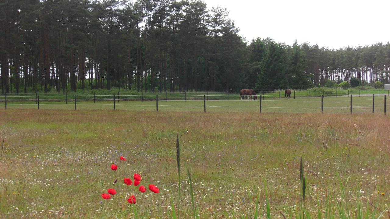 Aengshyddan B&B Yngsjö Zewnętrze zdjęcie